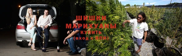 СК Абаза