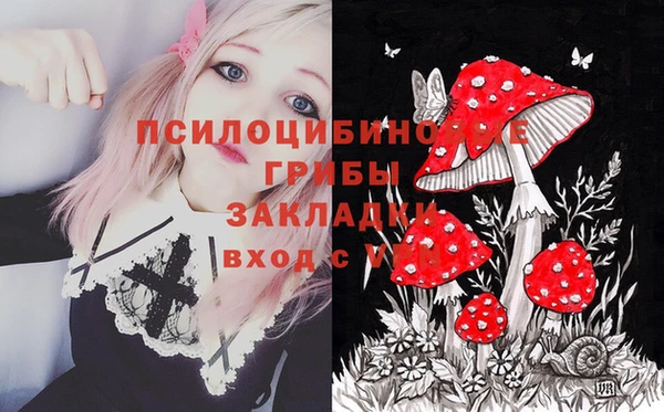 СК Абаза