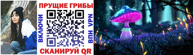 Галлюциногенные грибы Magic Shrooms  купить  сайты  Партизанск 